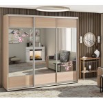 Шкаф-купе "Модель-1" 2,2м